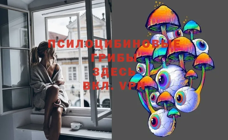 Галлюциногенные грибы Magic Shrooms  Малая Вишера 